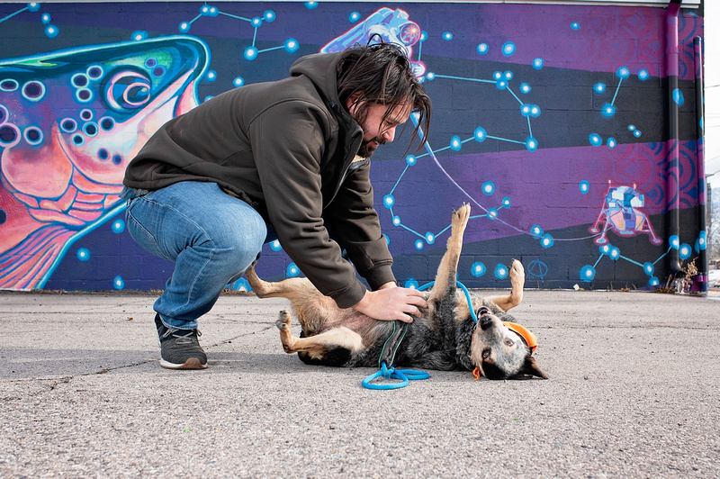 Man giving belly rubs to senior cattle dog in front of Space Trout mural in South Salt Lake City