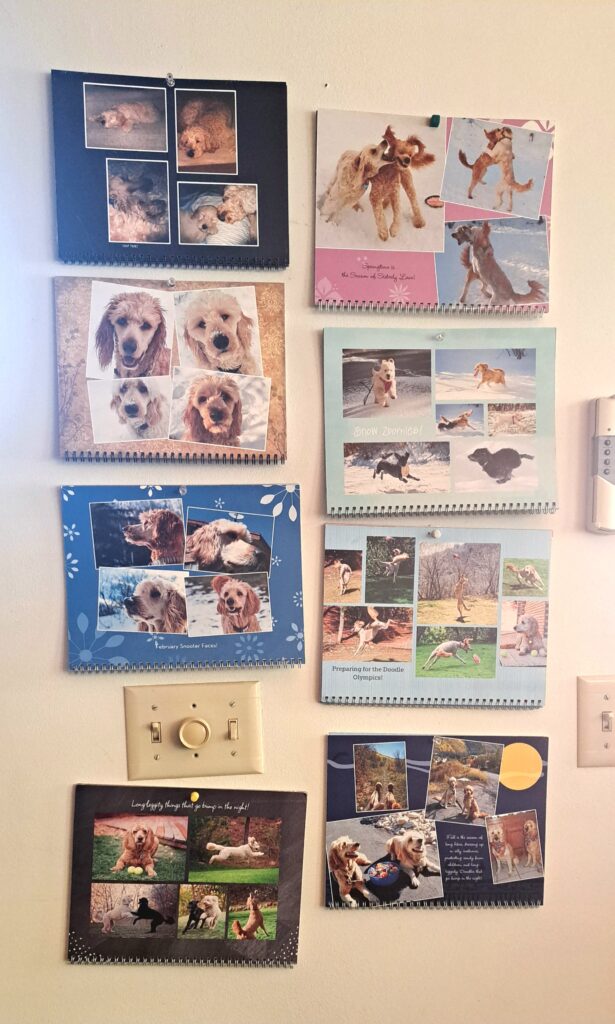 Calendars with personal photos of dogs