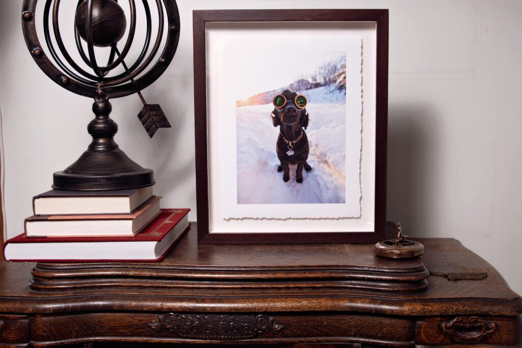 Framed dog photograph on desk with books and armillary sphere