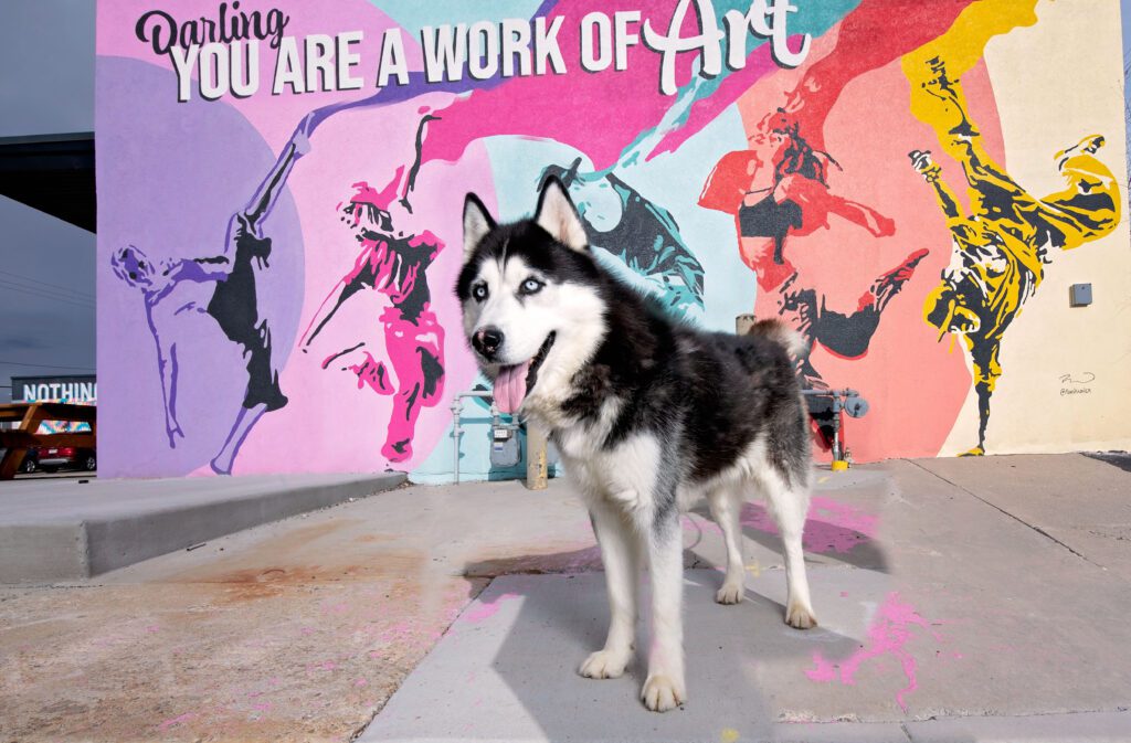 Husky in front of colorful mural in the city of South Salt Lake with dancers, text on mural reads 'you are a work of art'