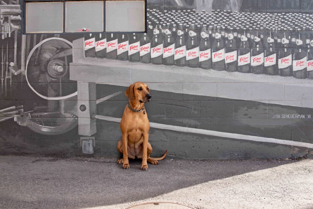 Great Dane in front of black and white mural of old brewery