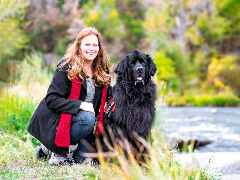 Dog photography in park city ut