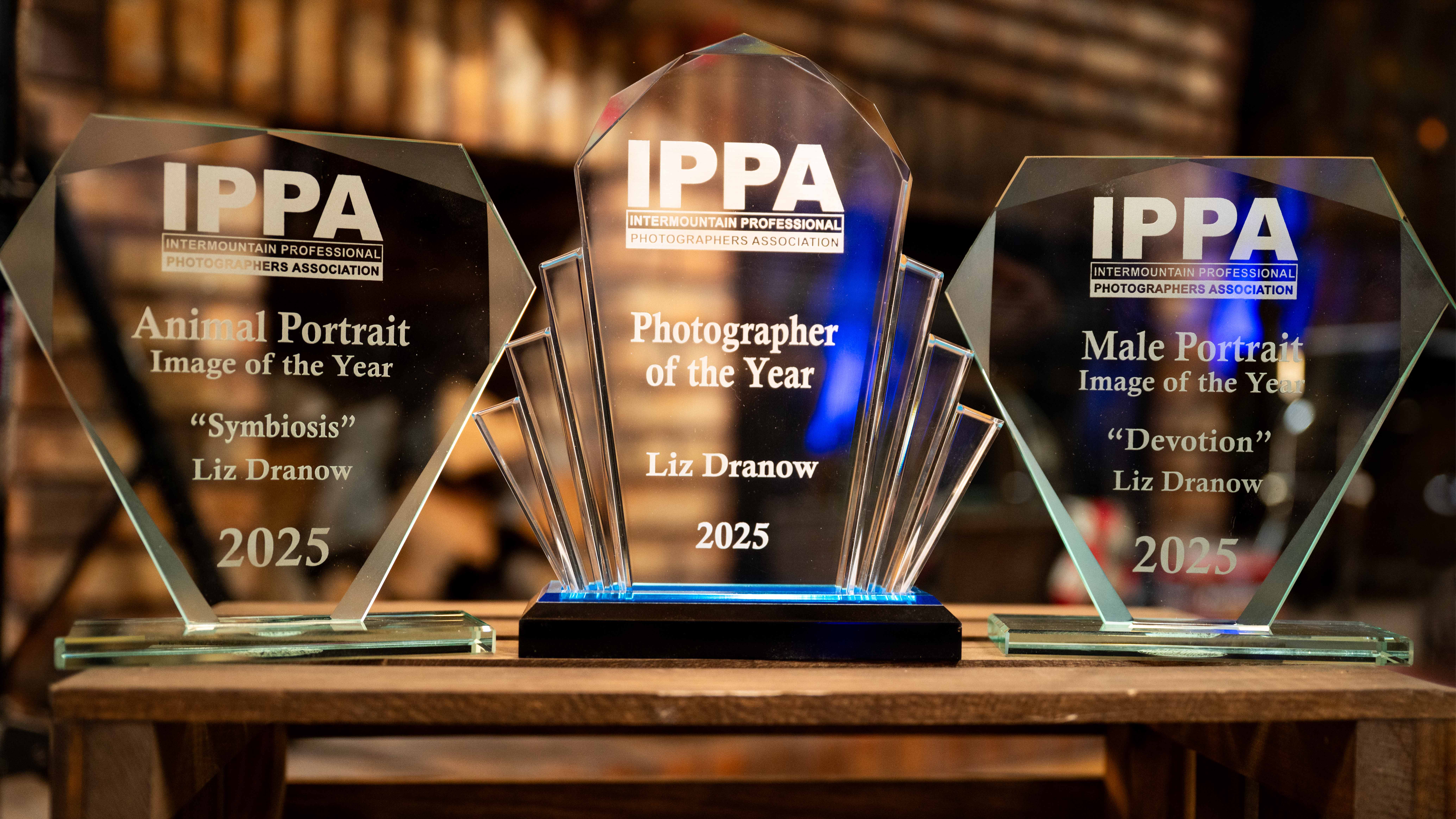 2025 Intermountain PPA Photographer of the Year Awards Park City Utah