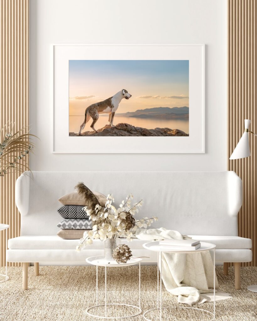 Modern living room with a white sofa and neutral decor, featuring a framed pet photography print of a dog standing on a rocky outcrop overlooking the Great Salt Lake at sunset, displayed above the sofa.